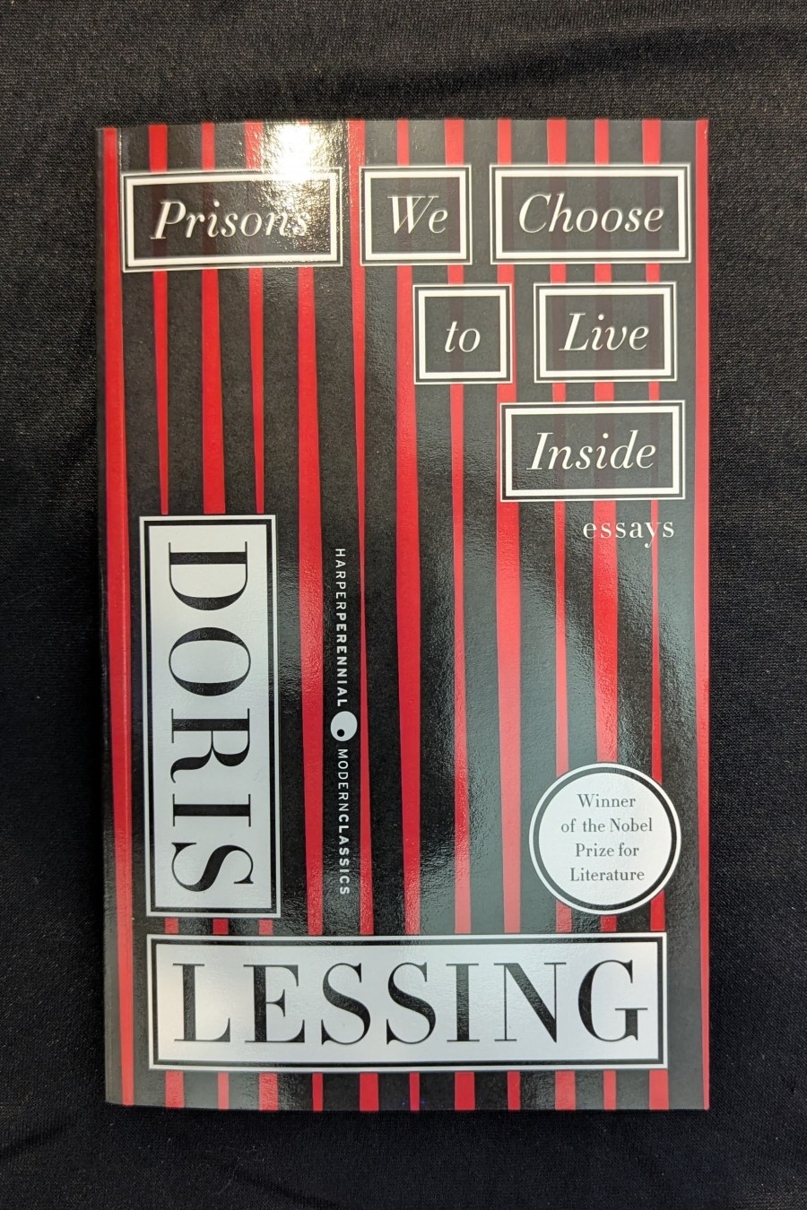 Prisons We Choose to Live Inside