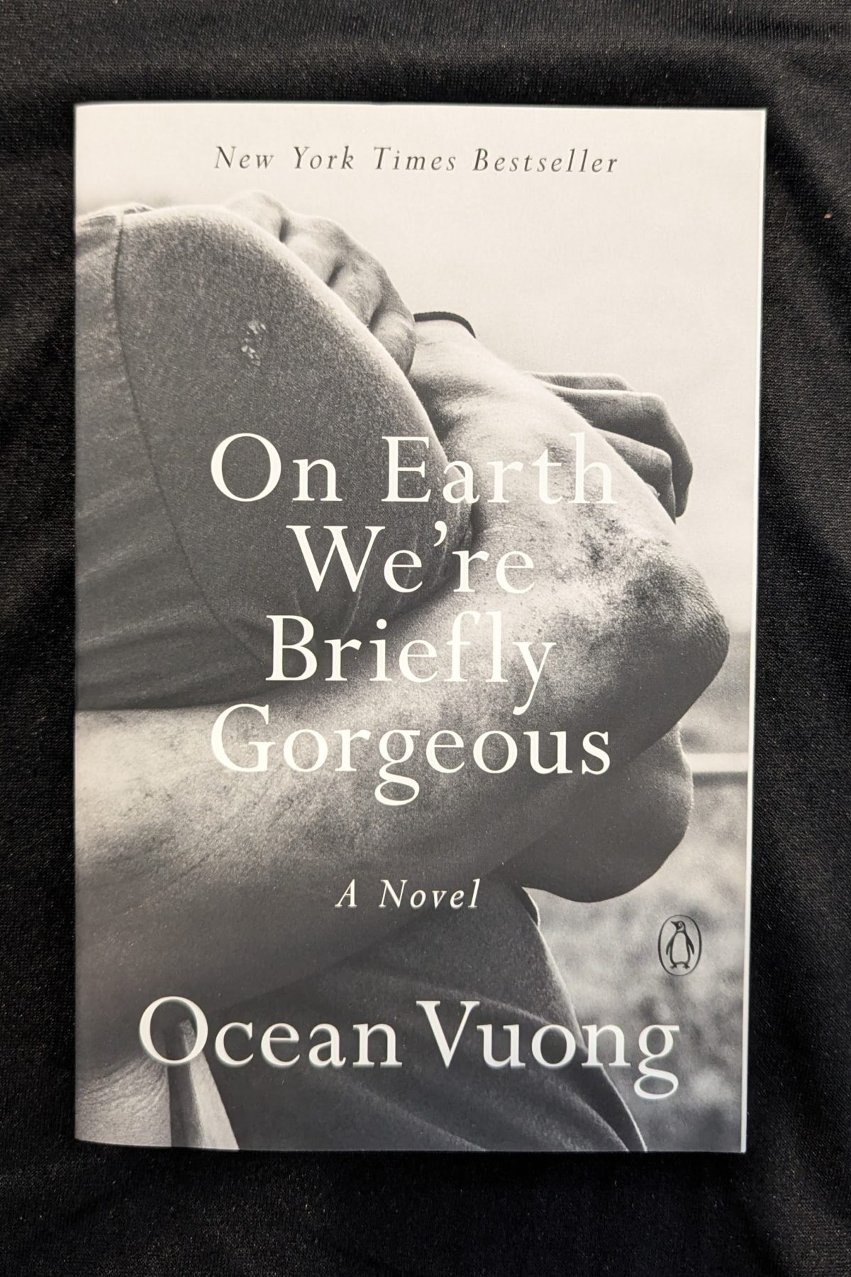 On Earth We're Briefly Gorgeous