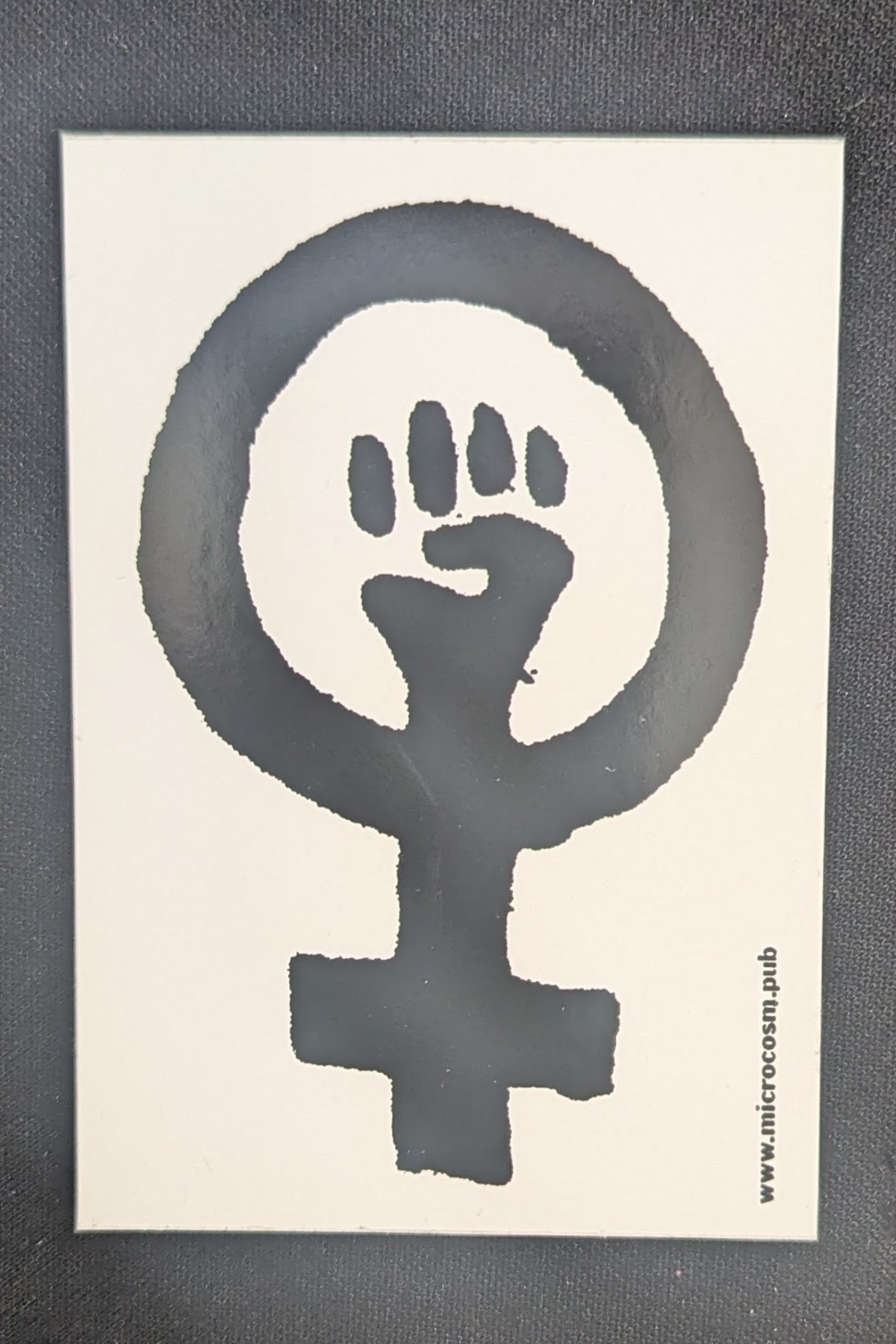 Feminist Solidarity Fist