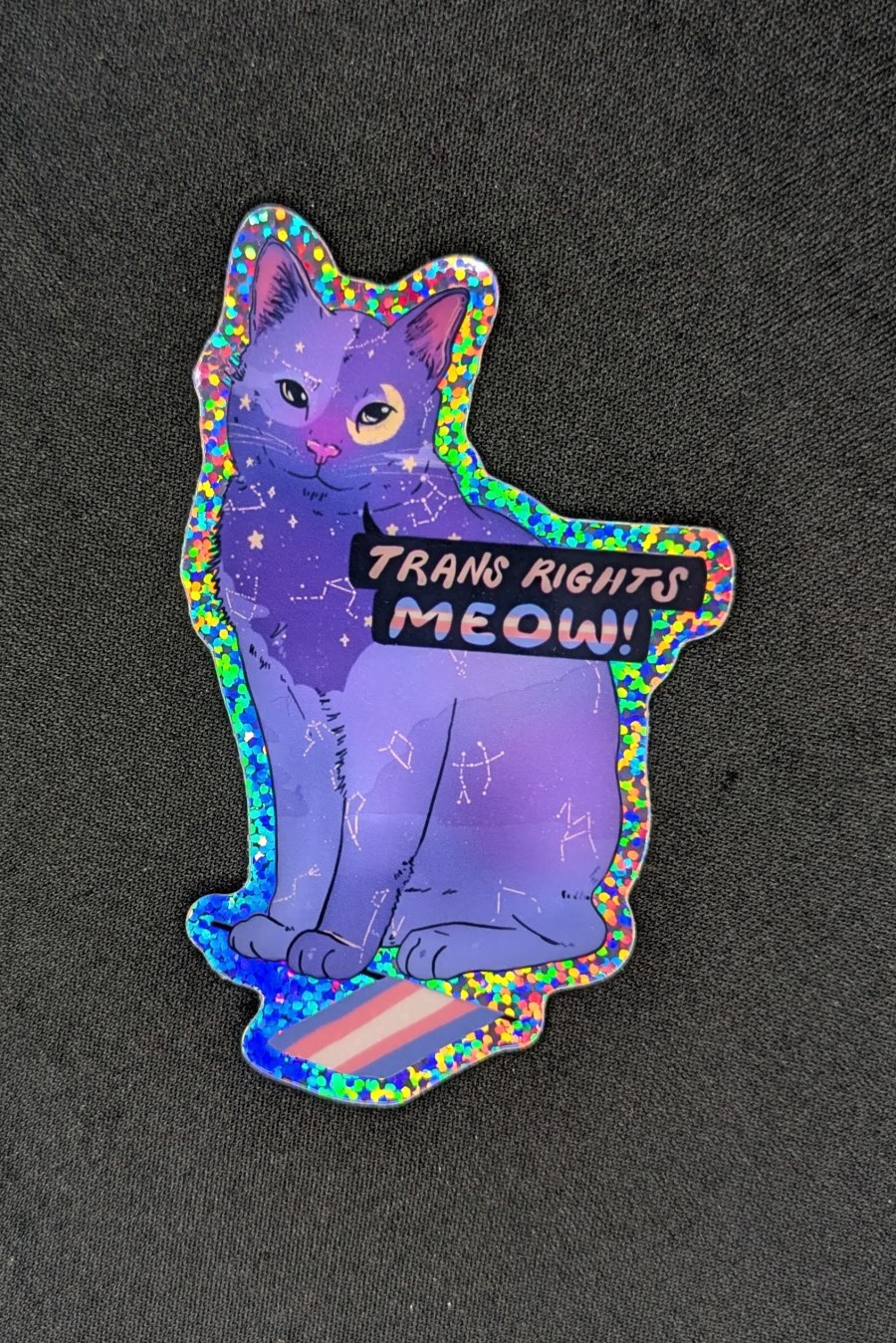 Trans Rights Meow!