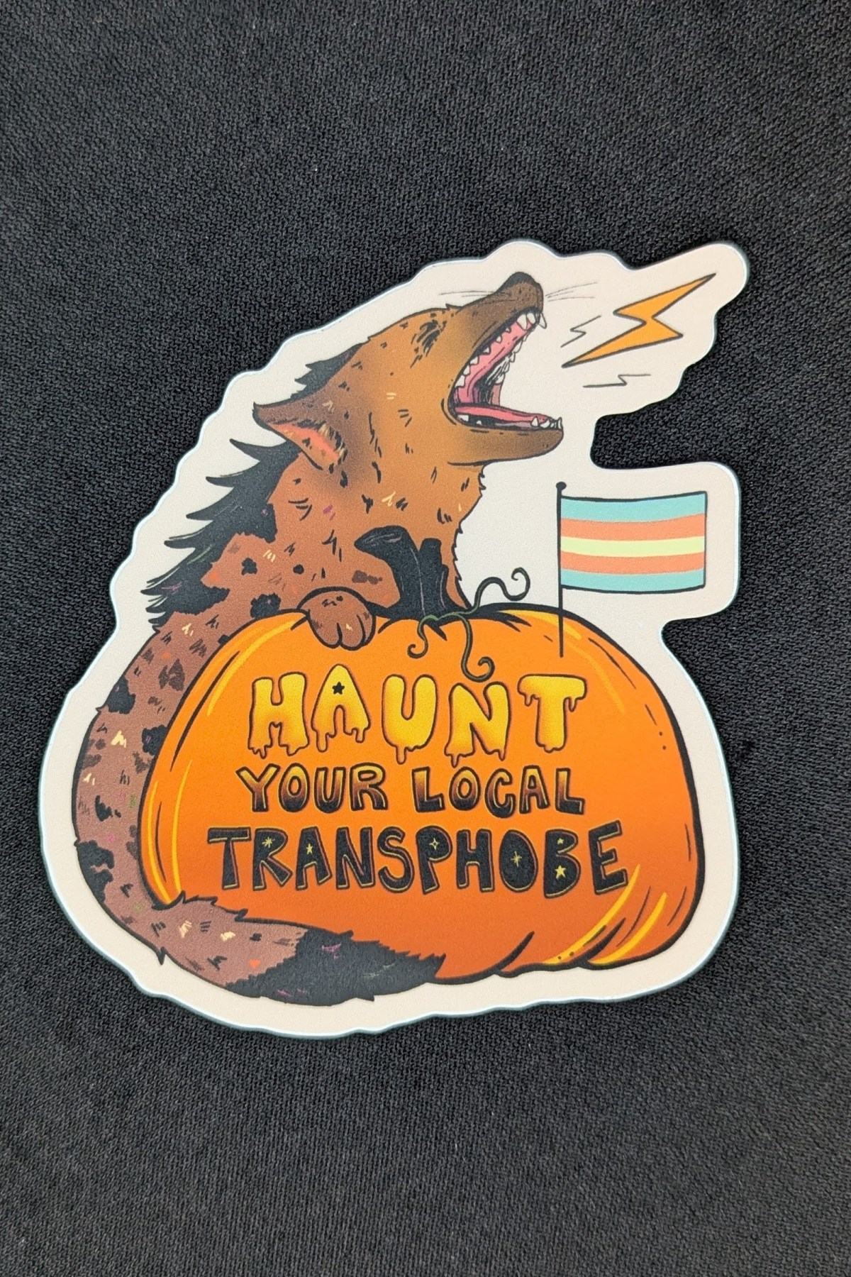 PXL_20260417_215016824 Haunt Your Local Transphobe - Hyena Pumpkin