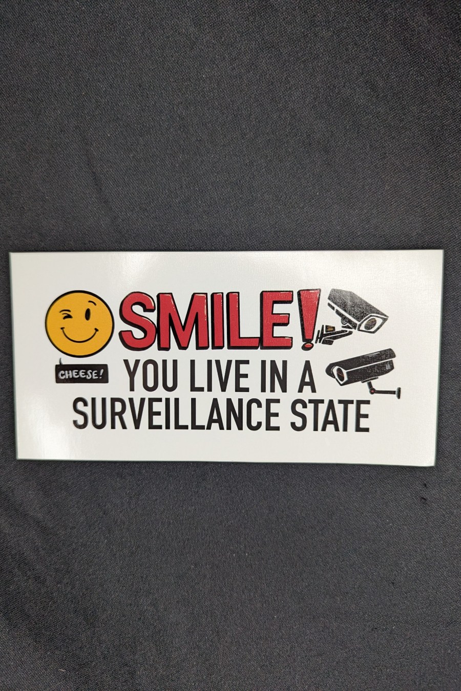 Smile! You Live in A Surveillance State - Bumper Sticker