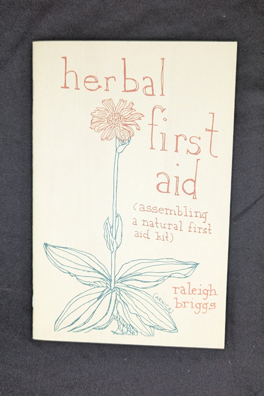 Herbal First Aid: Assembling a Natural First Aid Kit