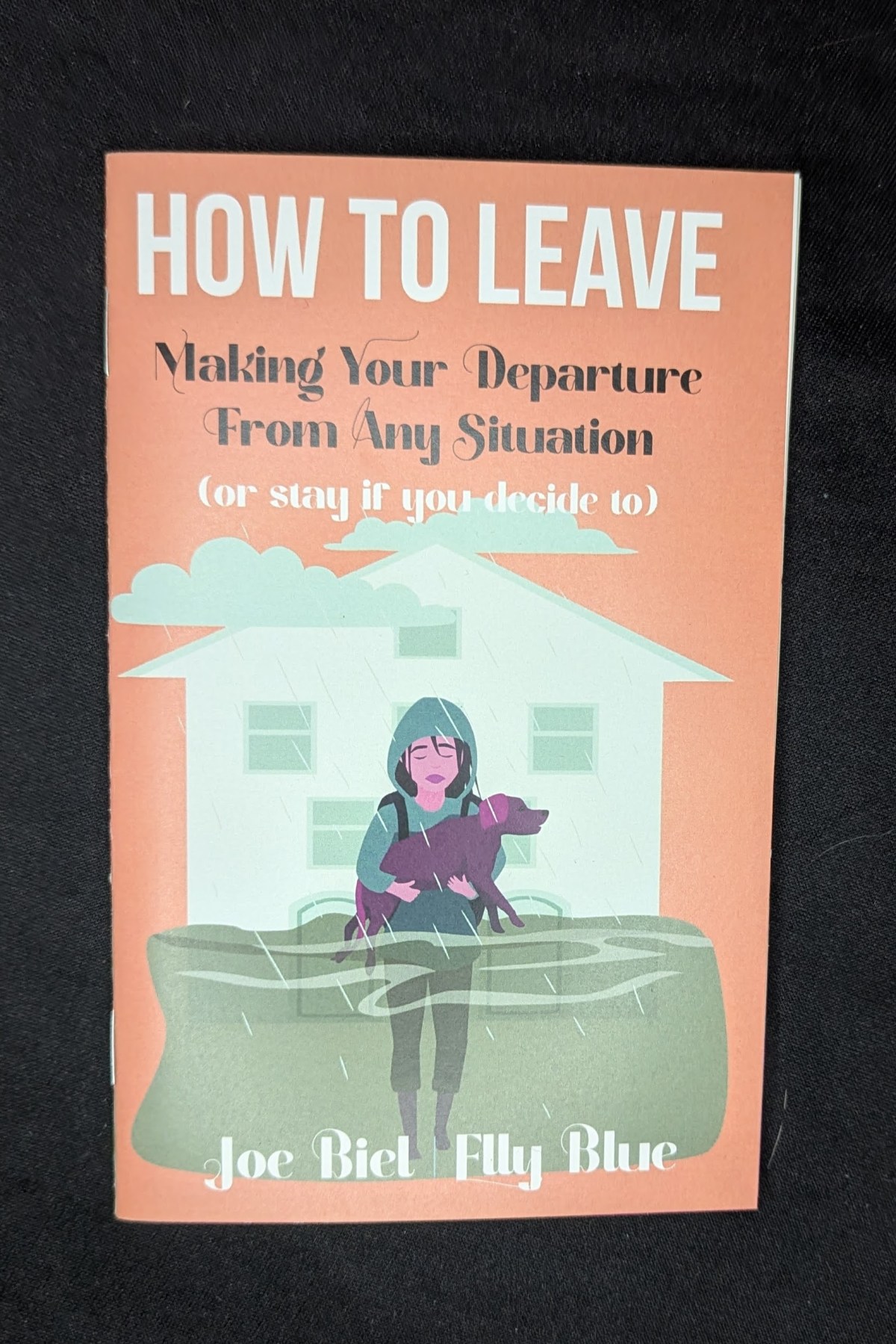 PXL_20260418_023238885.MP How to Leave: Making Your Departure From Any Situation